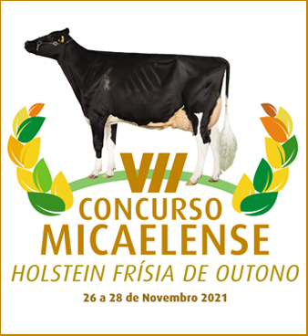 VII CONCURSO MICAELENSE DE OUTONO